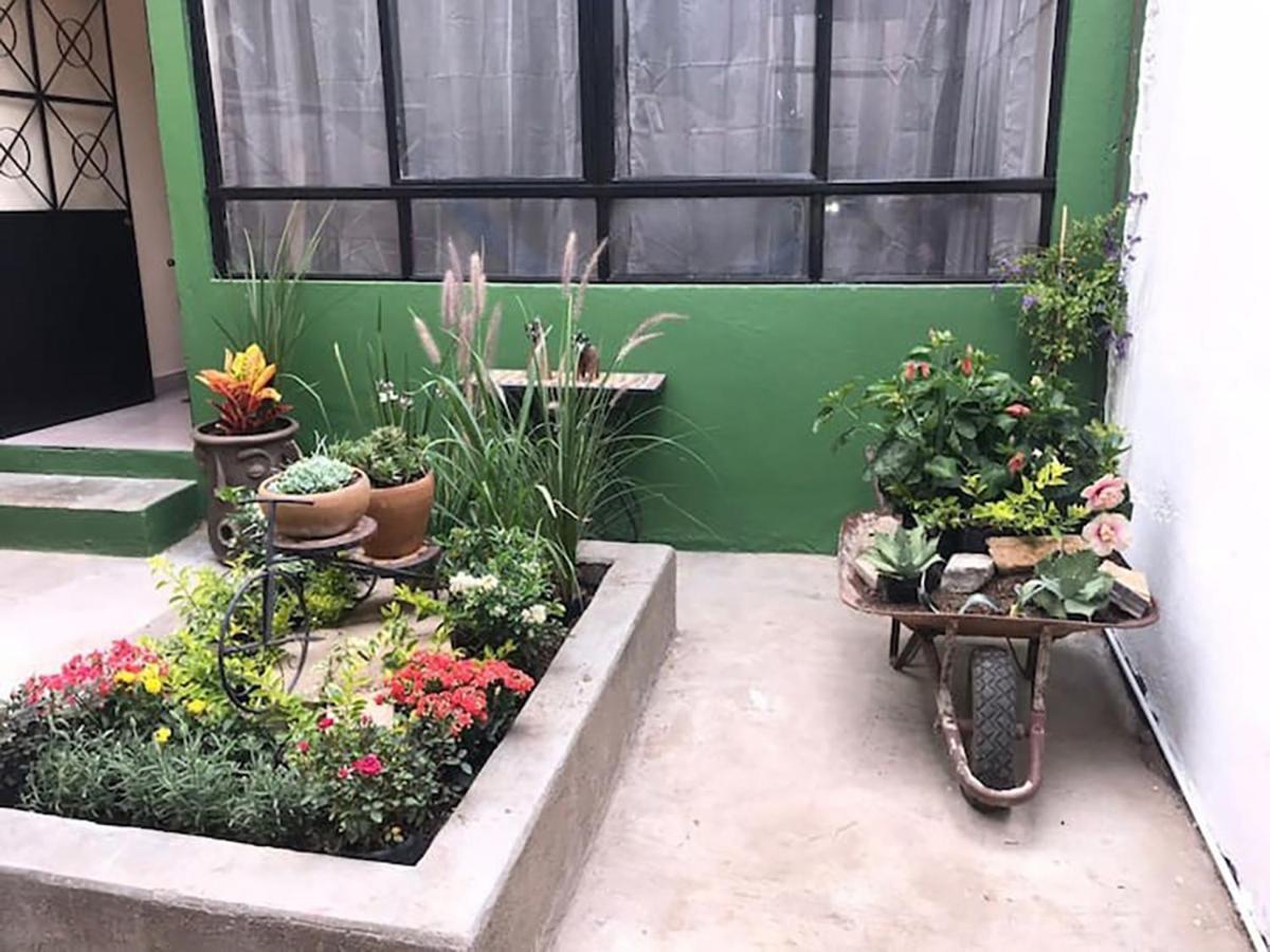 Casa Comoda Con Patio A 4 Cuadras De La Catedral. Oaxaca Εξωτερικό φωτογραφία